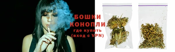 молекула духа Волоколамск