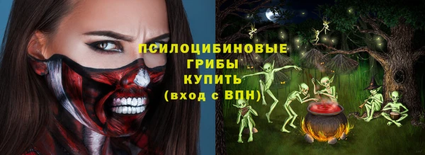 прущие грибы Володарск