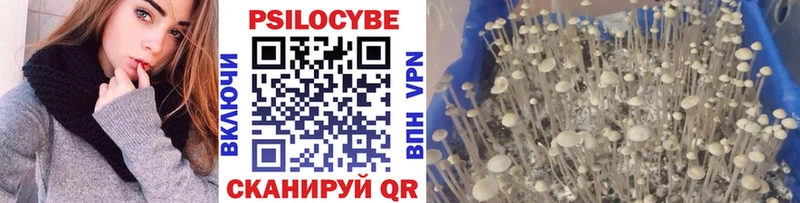наркотики  Вятские Поляны  mega вход  Псилоцибиновые грибы прущие грибы 